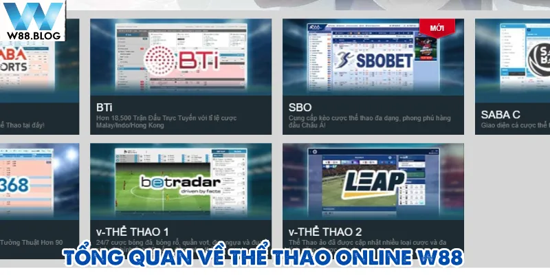 Thể thao online W88 có giao diện được thiết kế tối ưu cho cả người chơi mới